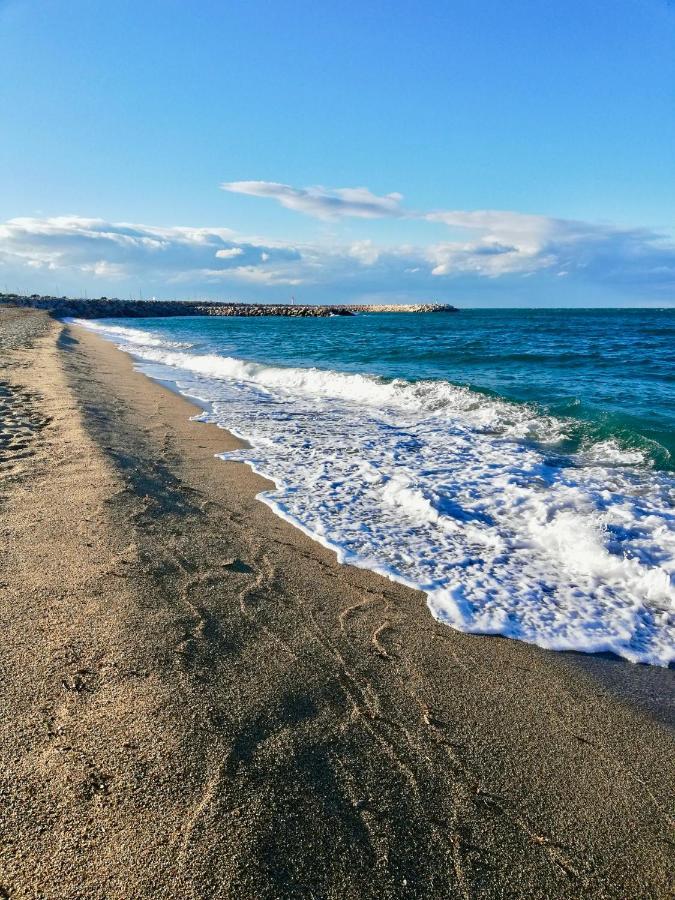 Hotel Oasis Argelès-sur-Mer Εξωτερικό φωτογραφία