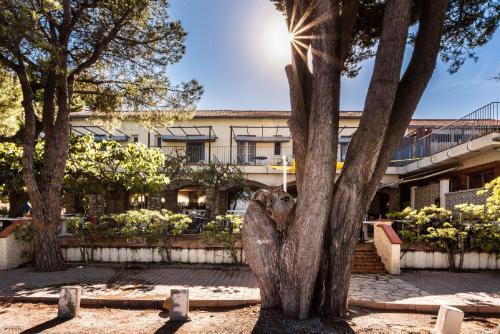 Hotel Oasis Argelès-sur-Mer Εξωτερικό φωτογραφία